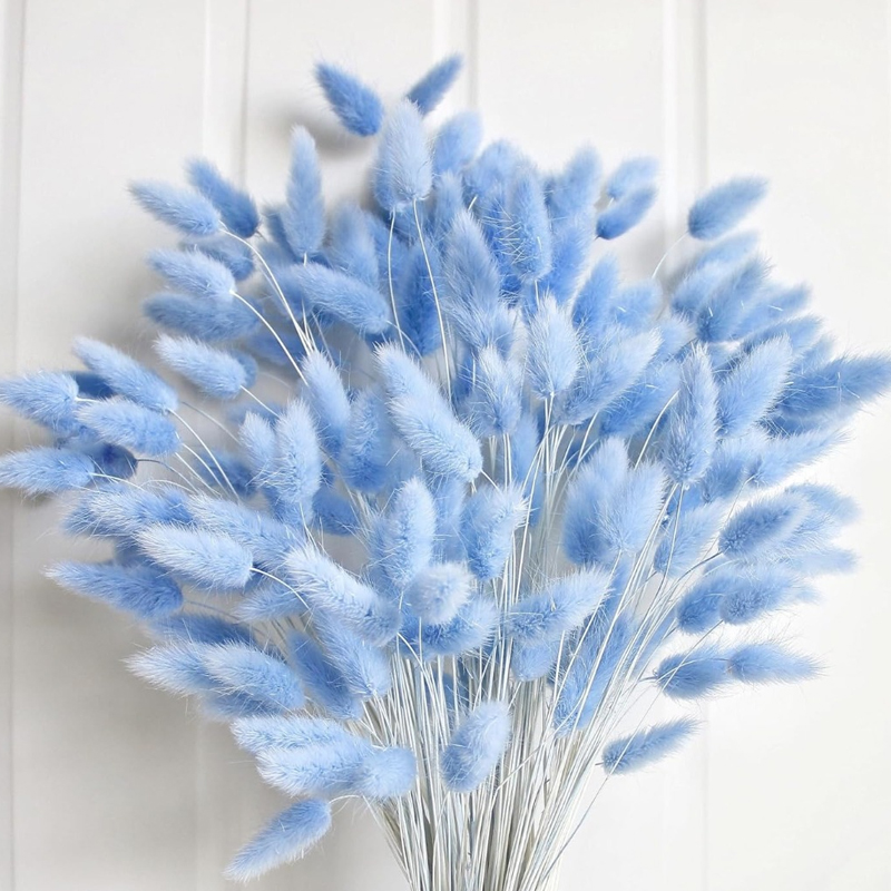 Florist Supply Vases - 100 Stück blauer Häschen-Schwanz, Gras, Hase,