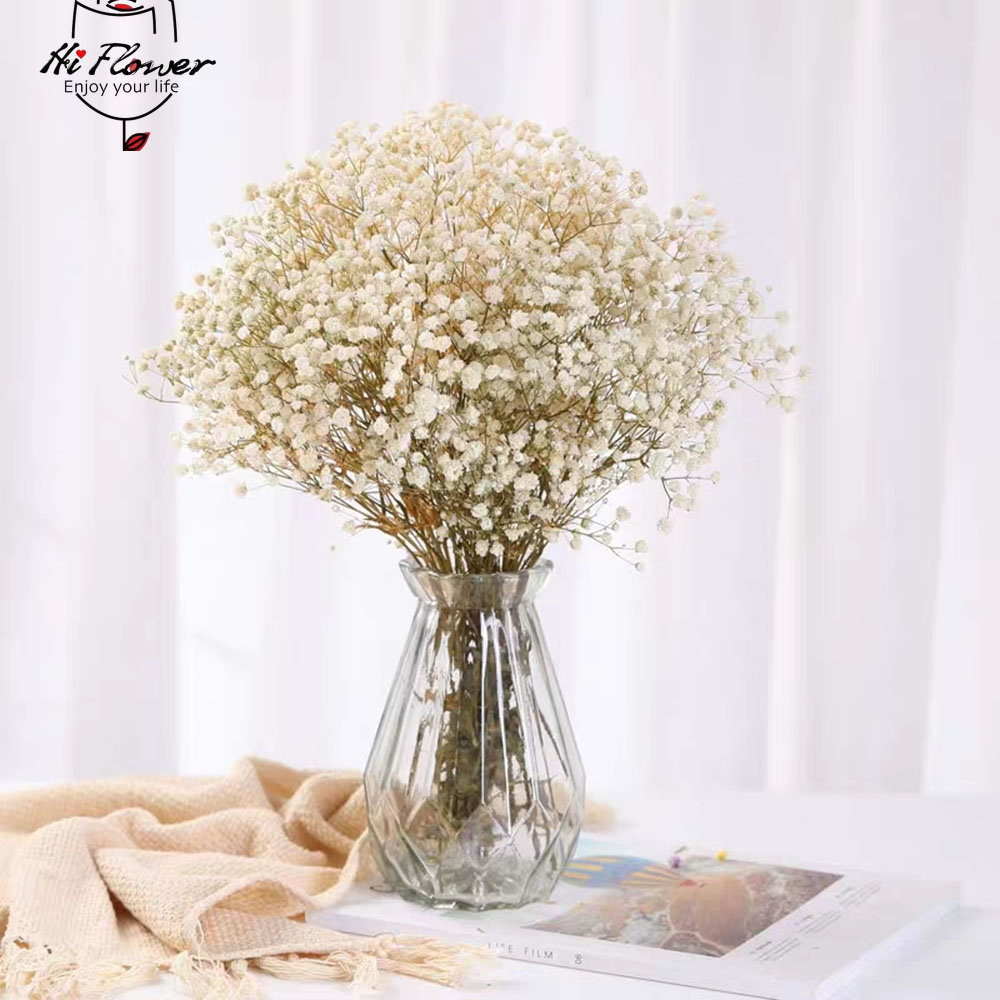 Natürliche getrocknete Blumen, – Baby Breath Dried Bewertung und Preis