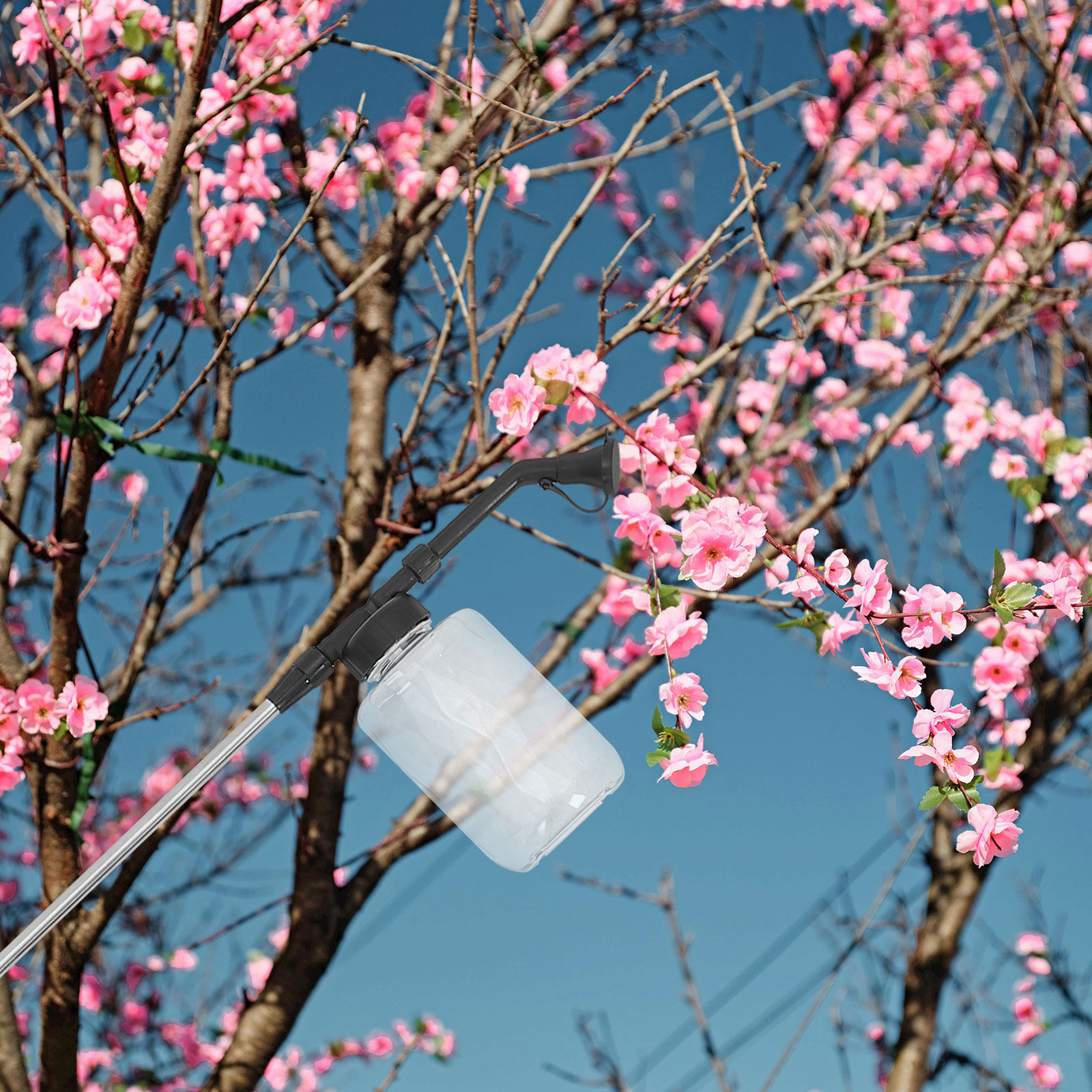 Manueller Bestäubungsstab, tra – Flower Supply Bewertung und Preis