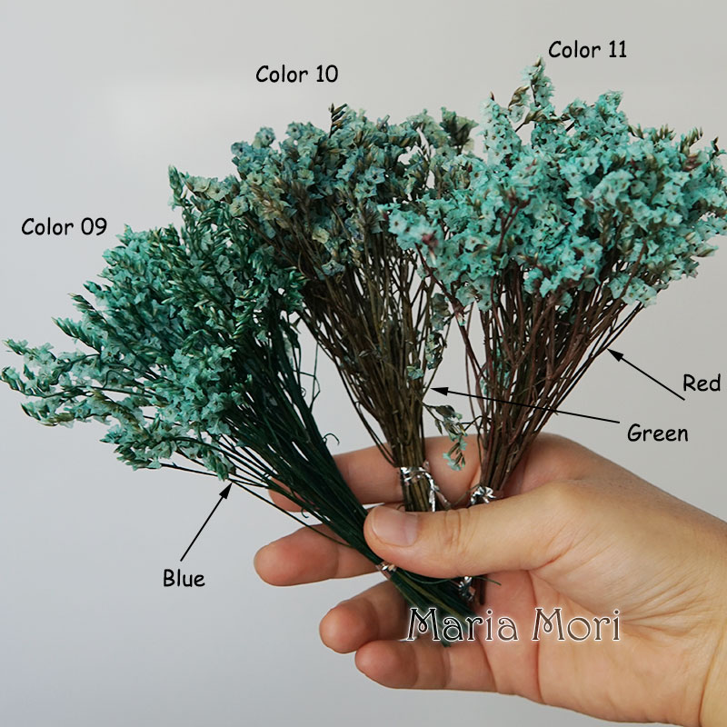 5g/Bunte Dired Konservierte Kr – Baby Breath Dried Bewertung und Preis