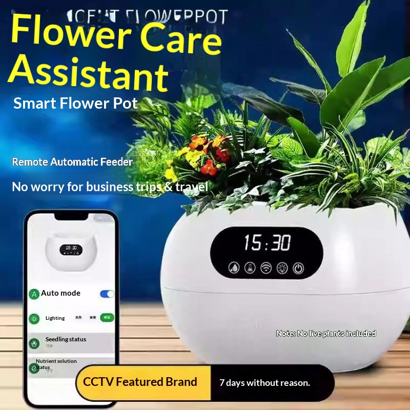 KI-Intelligenter Blumentopf Au – Flower Supply Bewertung und Preis