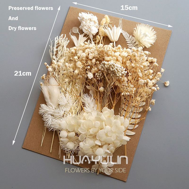1 Packung künstliche Pflanzen, – Baby Breath Dried Bewertung und Preis