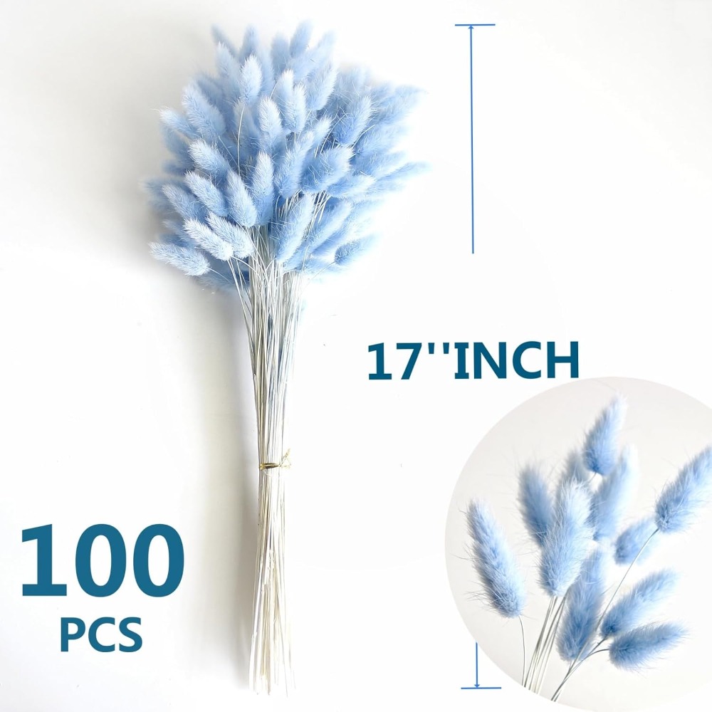 100 Stück blauer Häschen-Schwa – Florist Supply Vases Bewertung und Preis