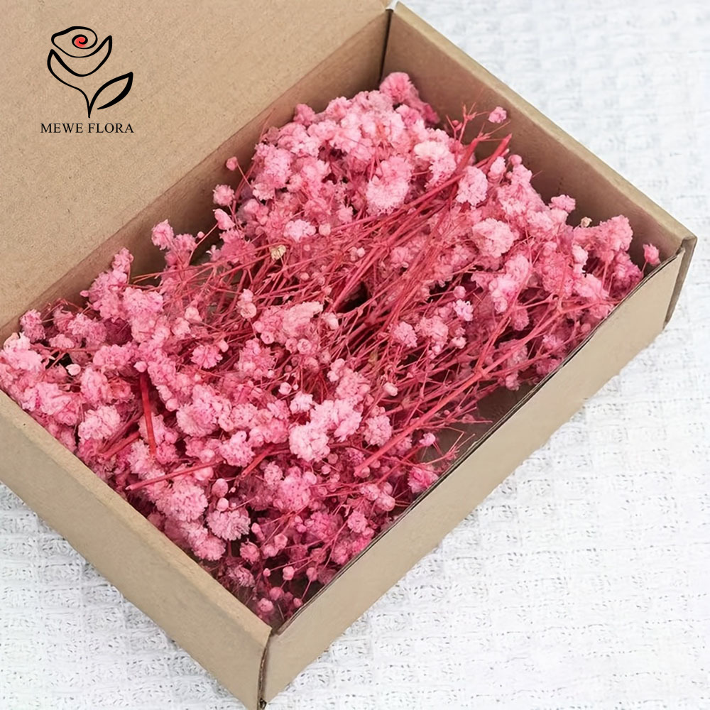 100 kleine Zweige, getrocknete – Baby Breath Dried Bewertung und Preis